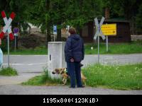 13.6.10 Forumtreffen Drei Annen Hohne Harz