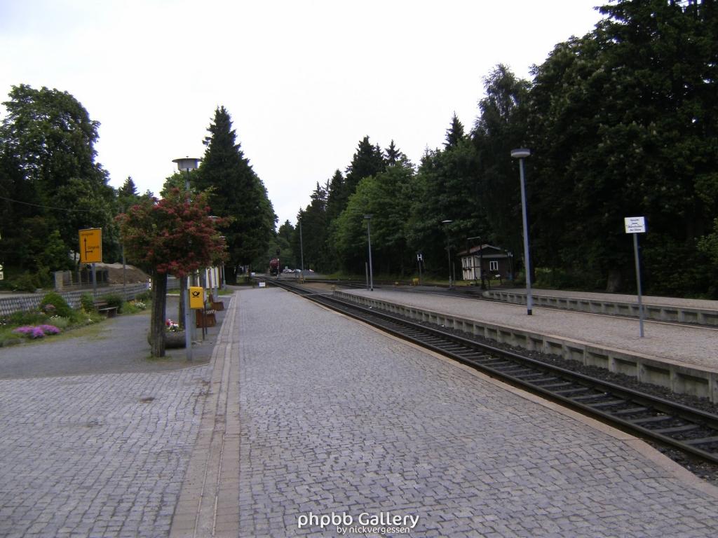 Forentreffen Schierke 2010 008