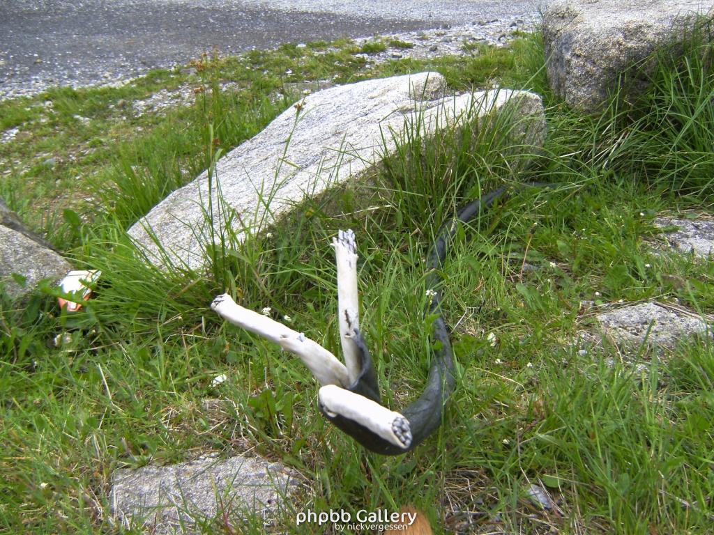 Forentreffen Schierke 2010 034