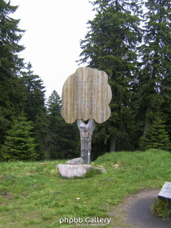 Forentreffen Schierke 2010 039