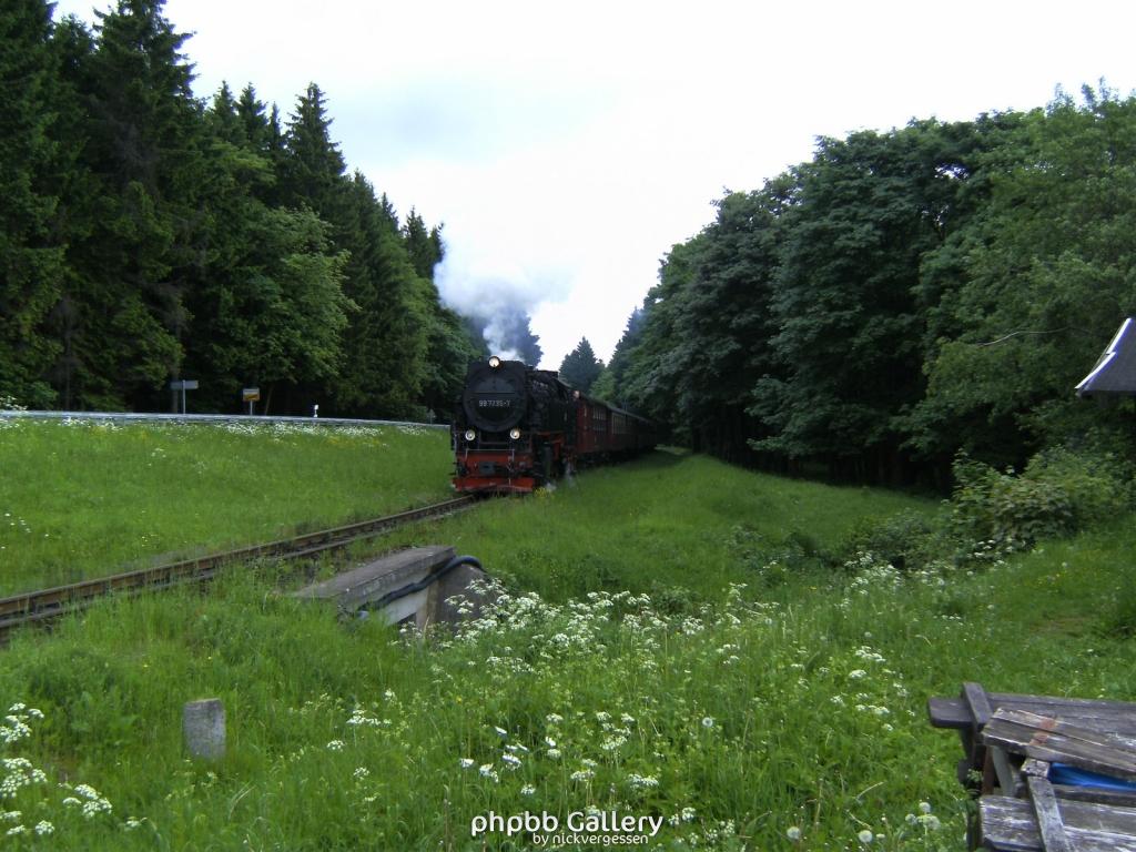 Forentreffen Schierke 2010 073