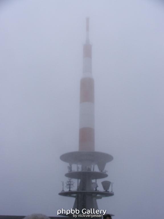 im Nebel
