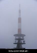 im Nebel