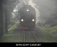 ein kurzzeitig vor unserem Triebwagen abgestellter Zug