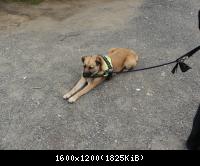 unsere sehr artige "Chefin"