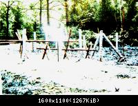 Ausstellung 43  141109