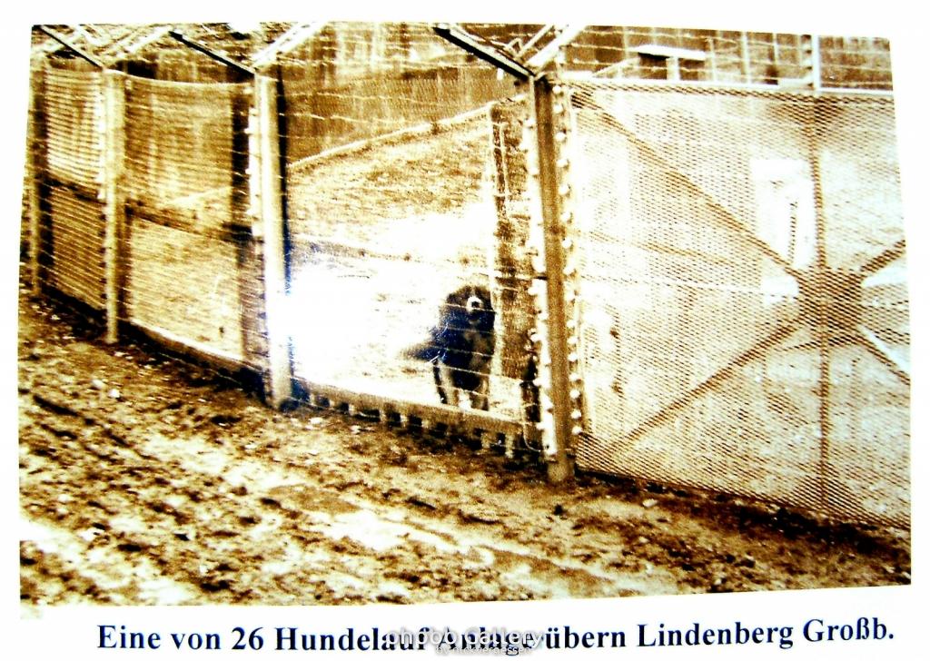 Ausstellung 44  141109