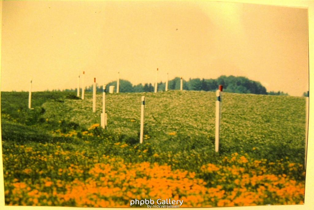 Ausstellung 46  141109