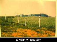 Ausstellung 46  141109