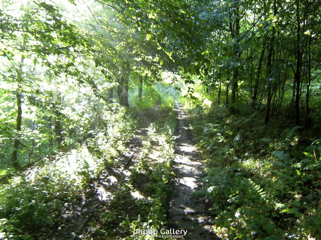 Huelfensberg 05  18072010