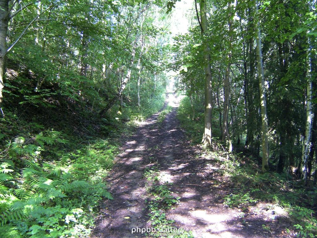 Huelfensberg 06  18072010