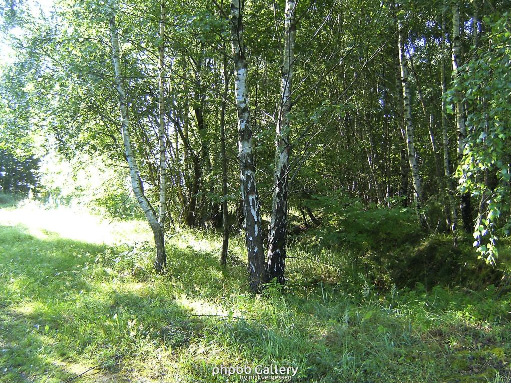 Huelfensberg 09  18072010