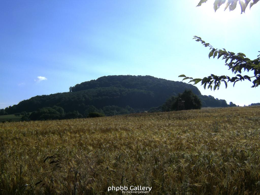 Huelfensberg 11  18072010