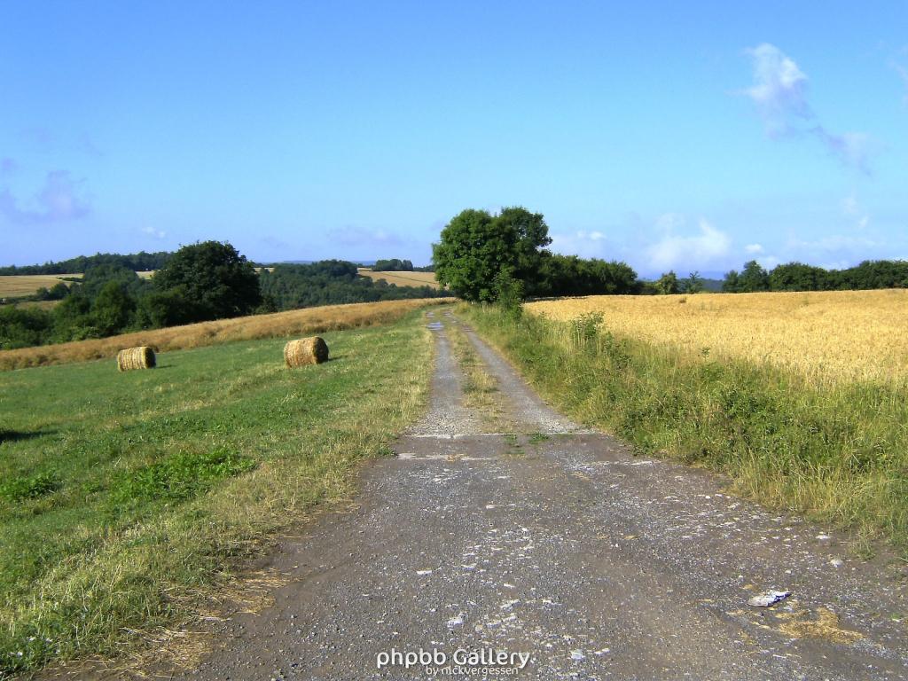 Huelfensberg 16  18072010