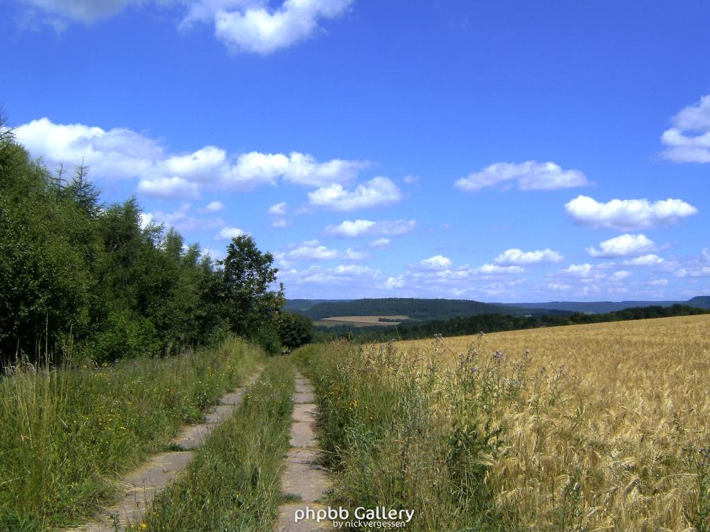 Huelfensberg 44  18072010