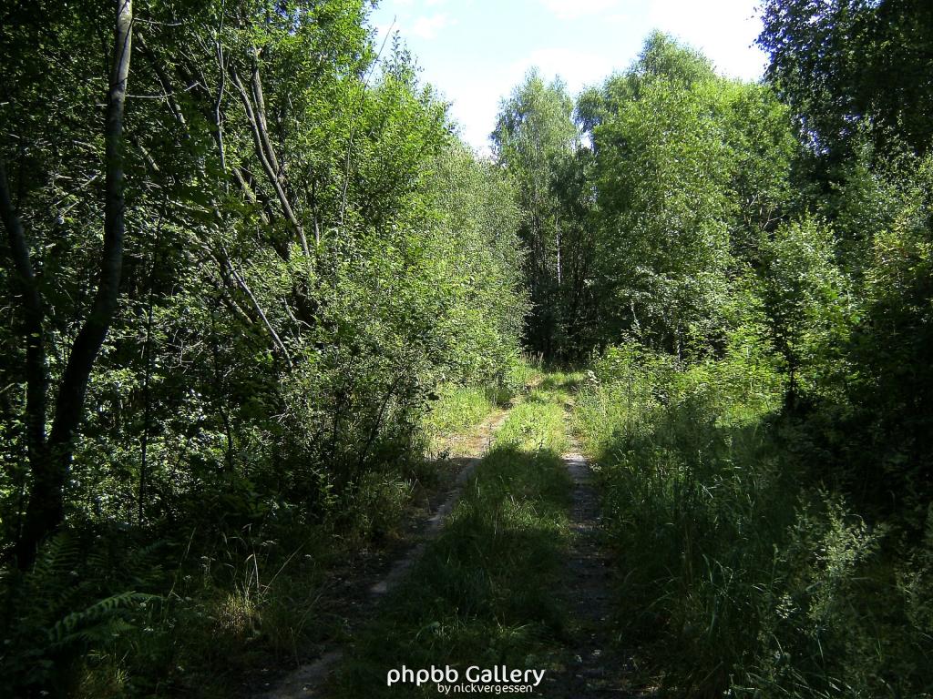 Huelfensberg 45  18072010