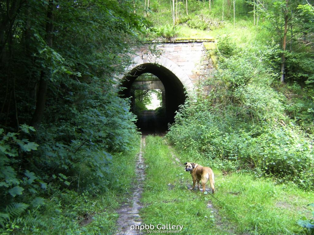 Huelfensberg 47  18072010