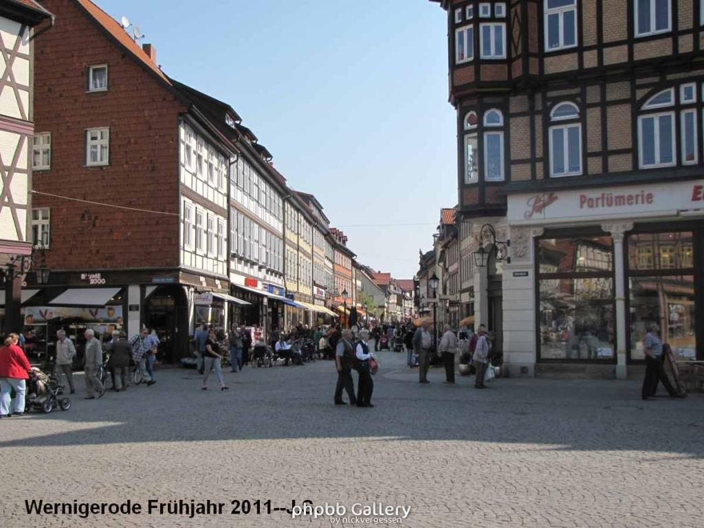 20.04.11 Wernigerode Frühjahr (7).