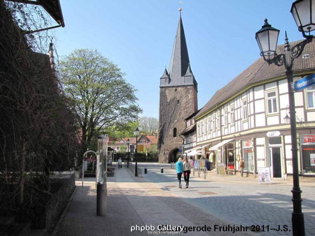 20.04.11 Wernigerode Frühjahr (10).