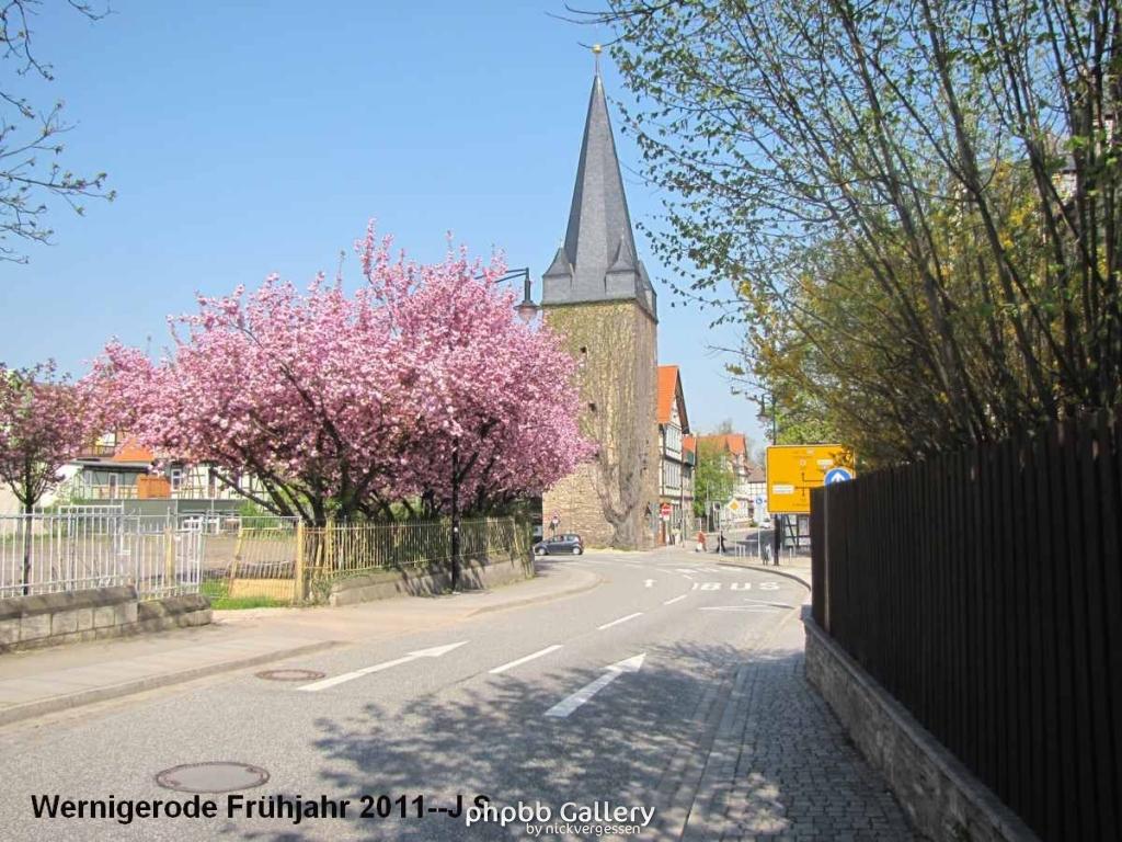 20.04.11 Wernigerode Frühjahr (11).