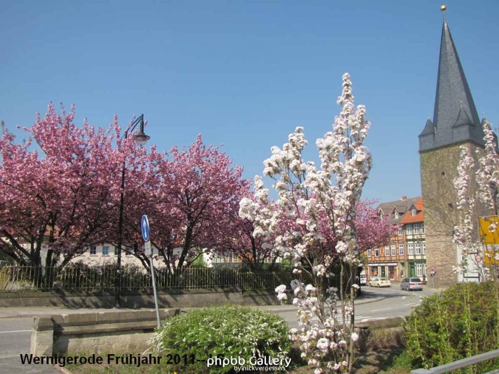20.04.11 Wernigerode Frühjahr (15).