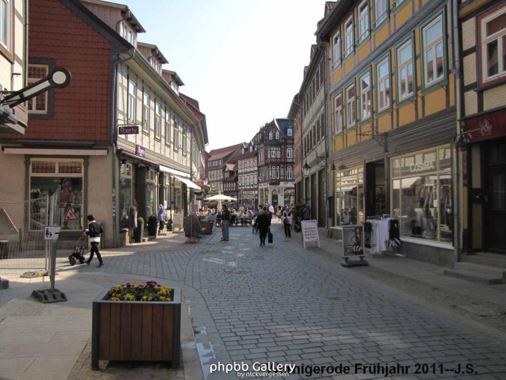 20.04.11 Wernigerode Frühjahr (16).