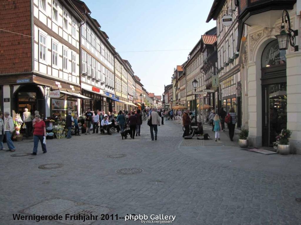 20.04.11 Wernigerode Frühjahr (19).