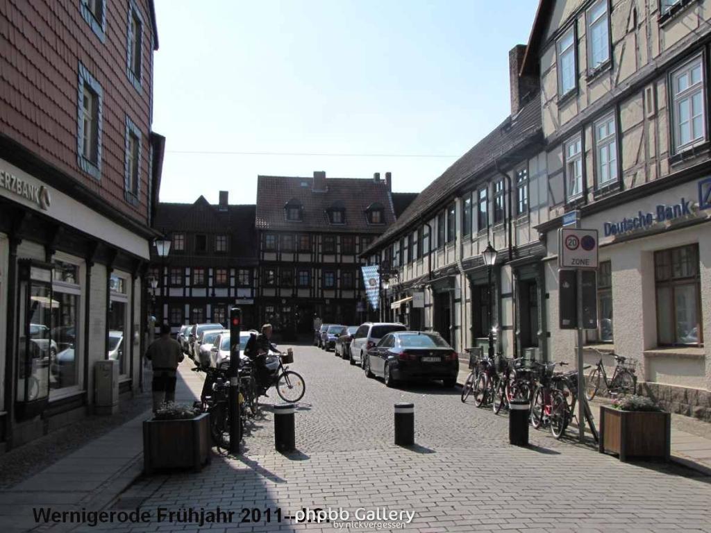 20.04.11 Wernigerode Frühjahr (20).