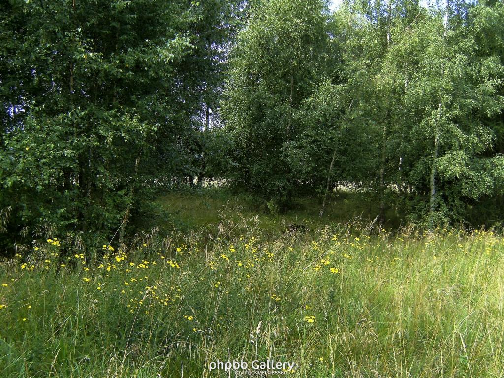 Doeringsdorf Keudelstein 14  08082010