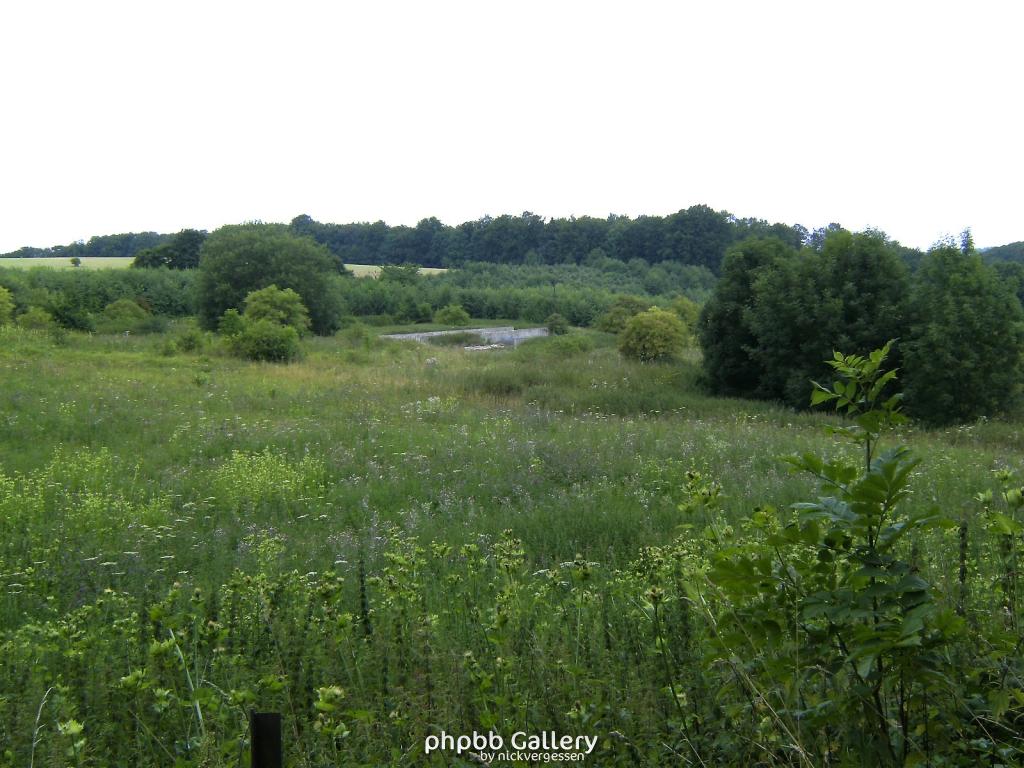 Doeringsdorf Keudelstein 23  08082010