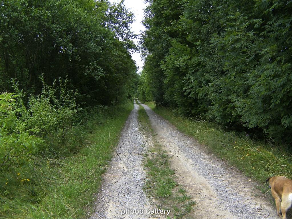 Doeringsdorf Keudelstein 34  08082010