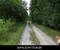 Doeringsdorf Keudelstein 34  08082010