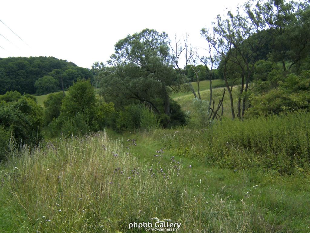 Doeringsdorf Keudelstein 37  08082010