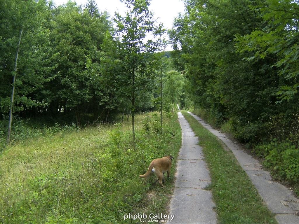 Doeringsdorf Keudelstein 43  08082010