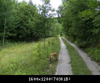 Doeringsdorf Keudelstein 43  08082010