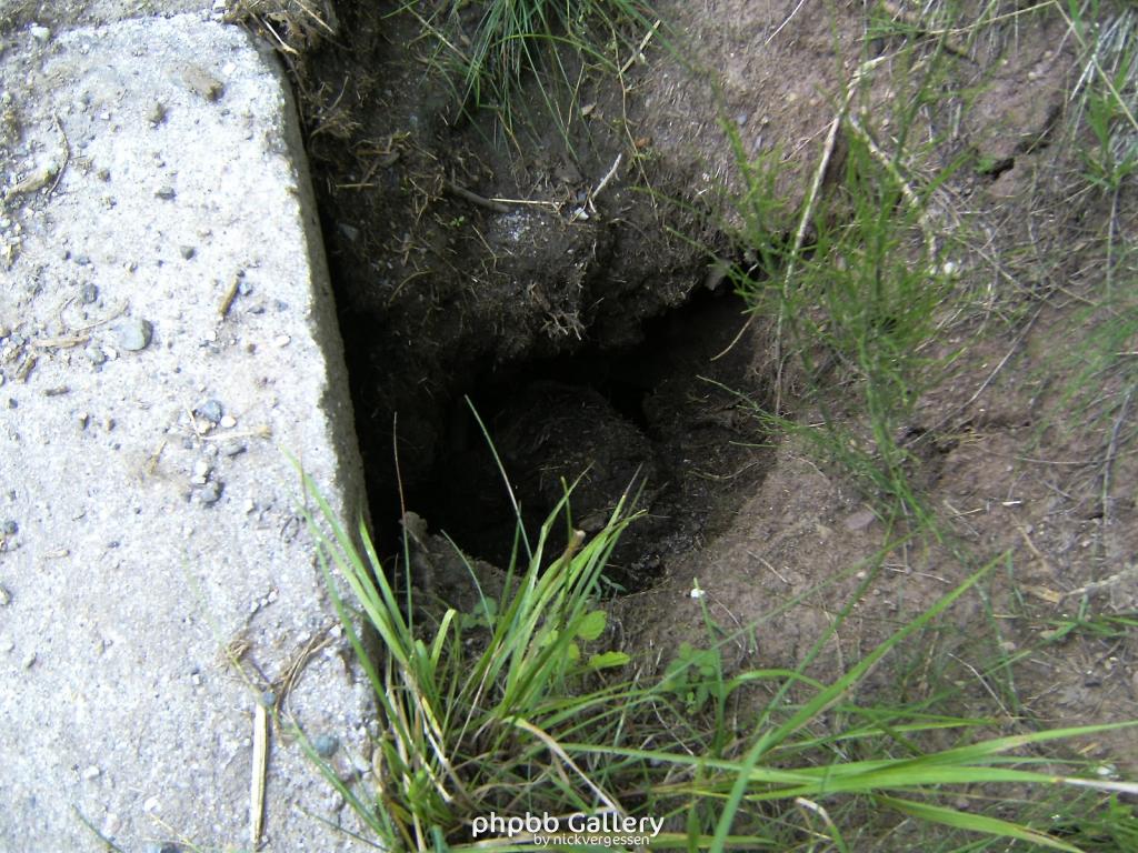 Doeringsdorf Keudelstein 45  08082010