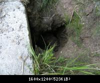 Doeringsdorf Keudelstein 45  08082010