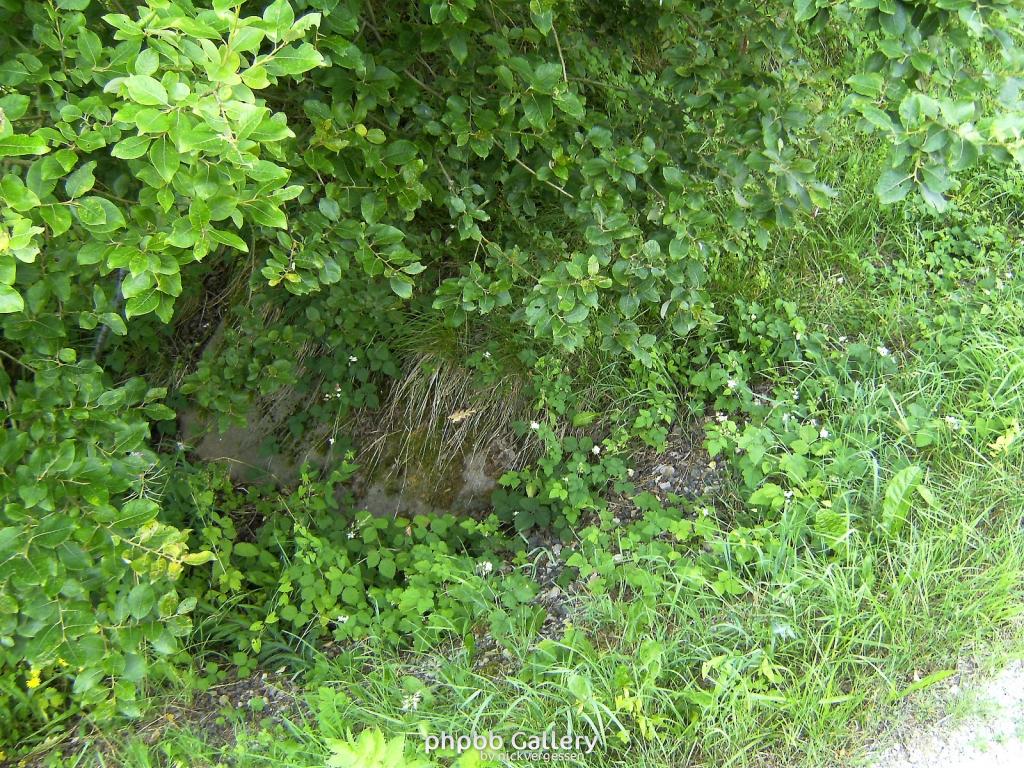 Doeringsdorf Keudelstein 49  08082010