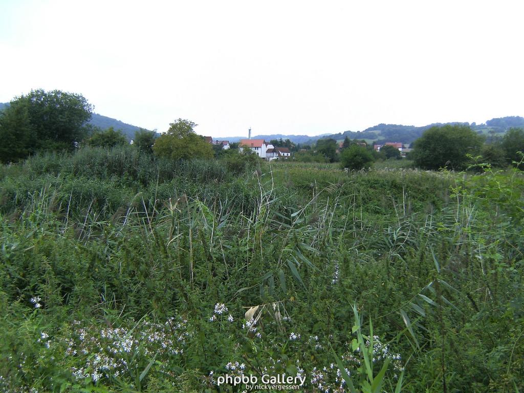 Bhf Grossburschla Altenburschla 15  15082010