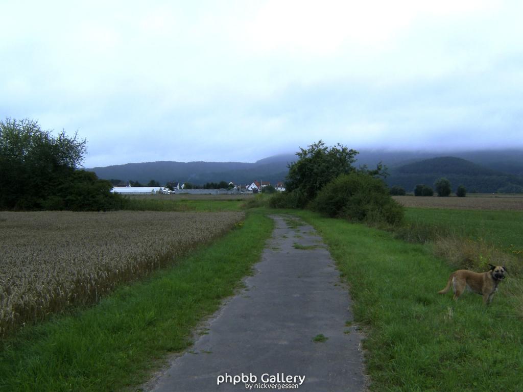Bhf Grossburschla Altenburschla 24  15082010