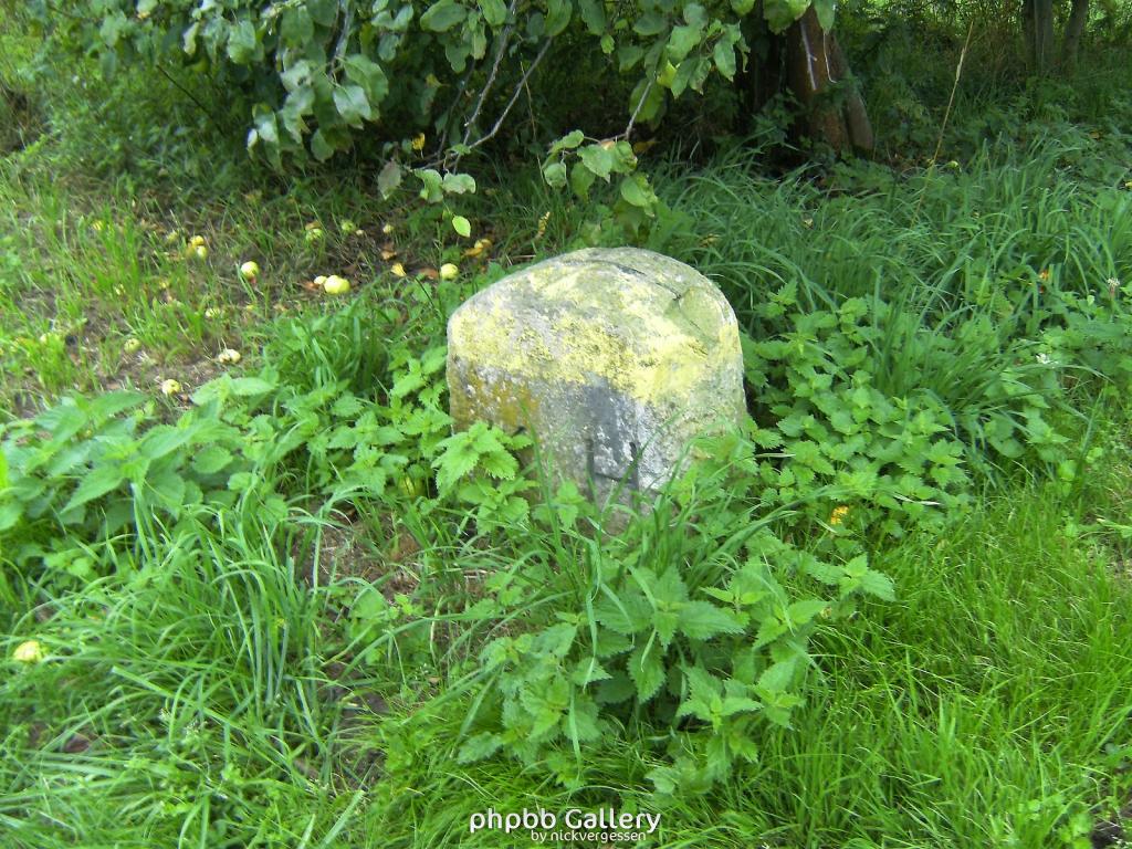 Bhf Grossburschla Altenburschla 37  15082010