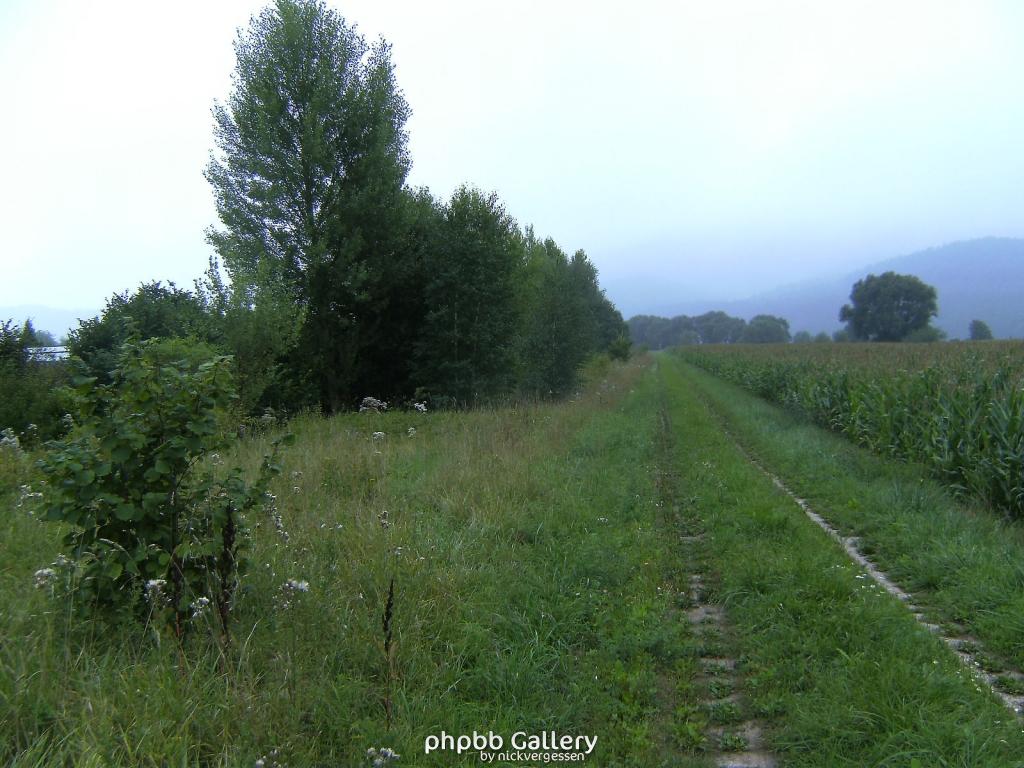 Bhf Grossburschla Altenburschla 40  15082010