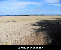 Ostsee-2010 (5)