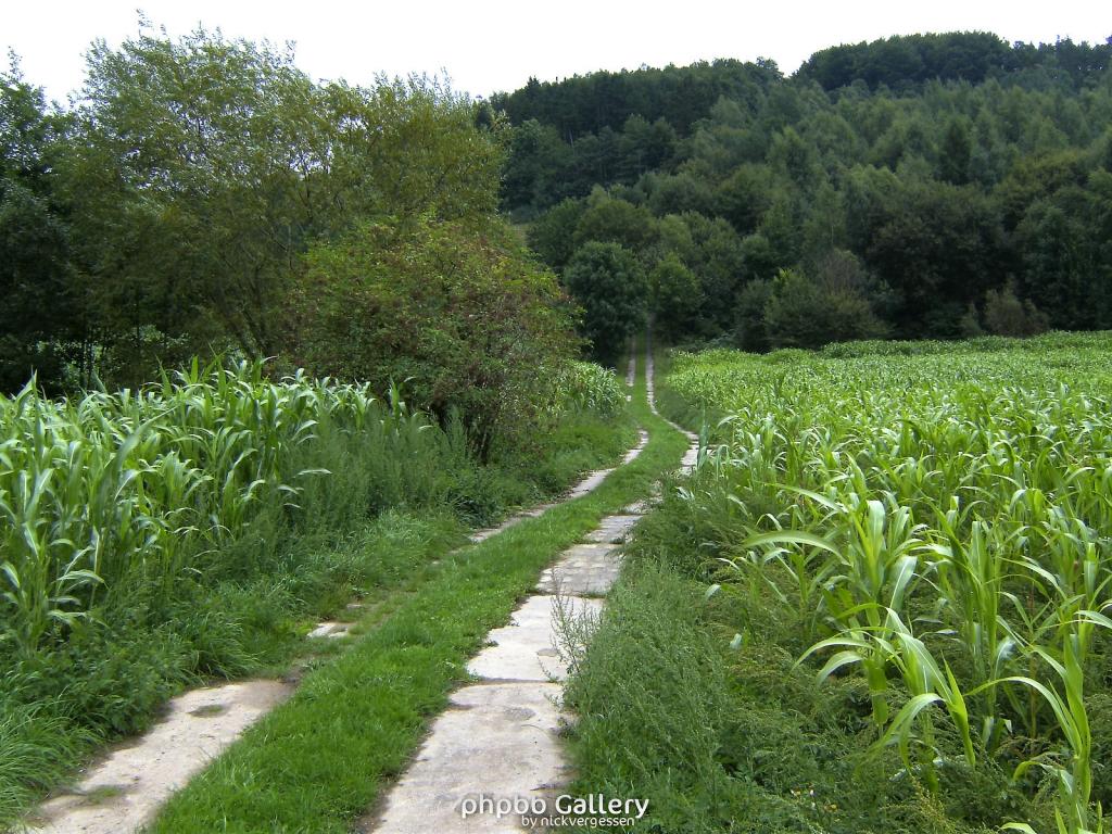 Wendehausen Treffurt 15  29082010
