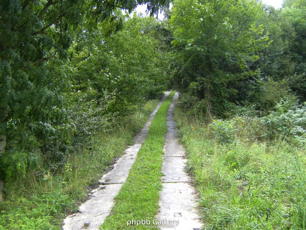 Wendehausen Treffurt 16  29082010