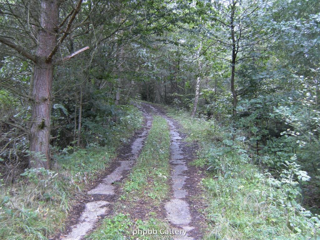Wendehausen Treffurt 19  29082010