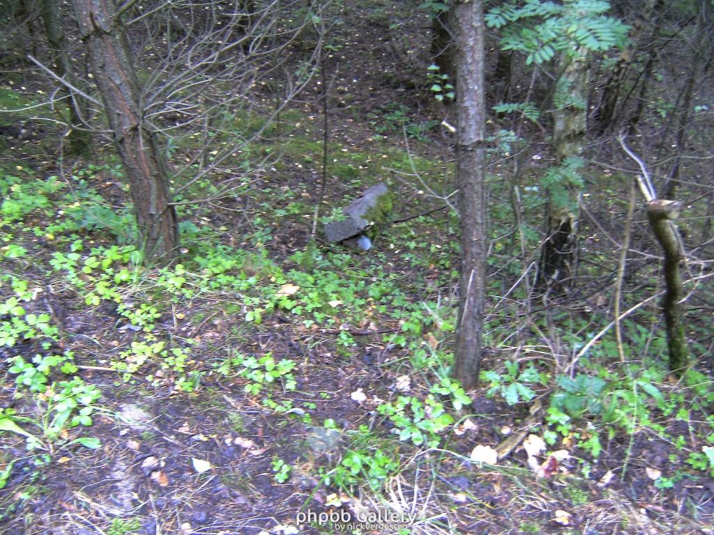 Wendehausen Treffurt 22  29082010