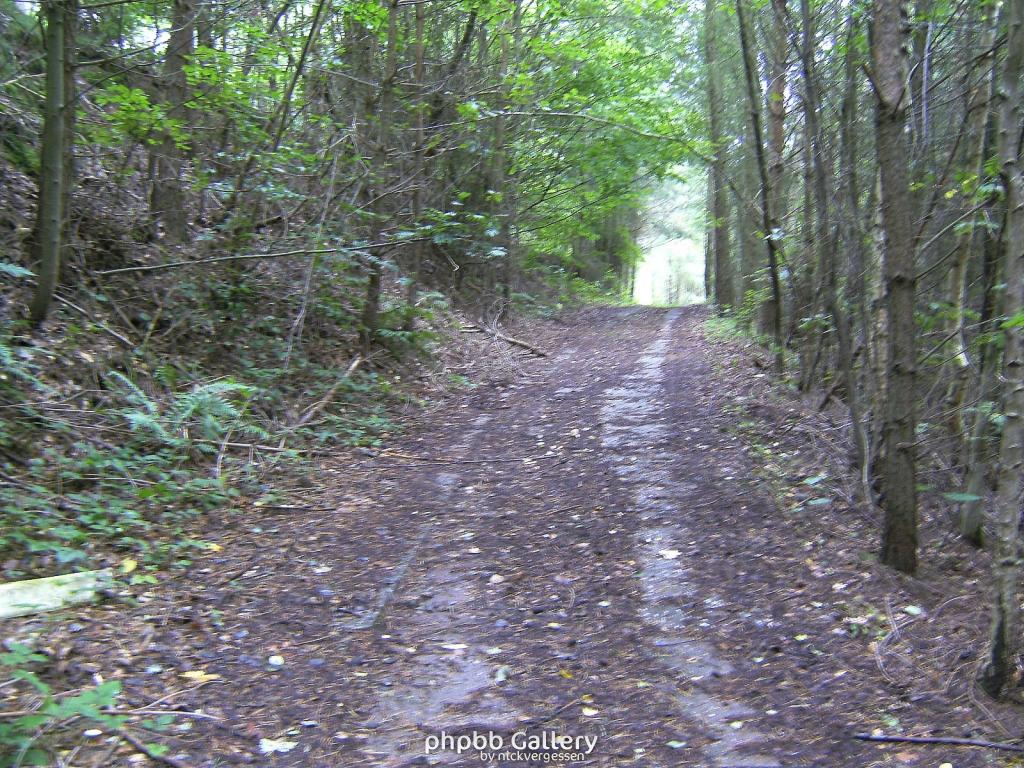 Wendehausen Treffurt 26  29082010