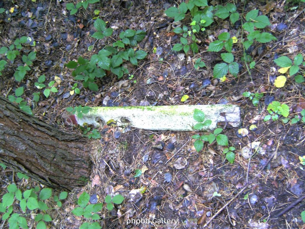 Wendehausen Treffurt 27  29082010