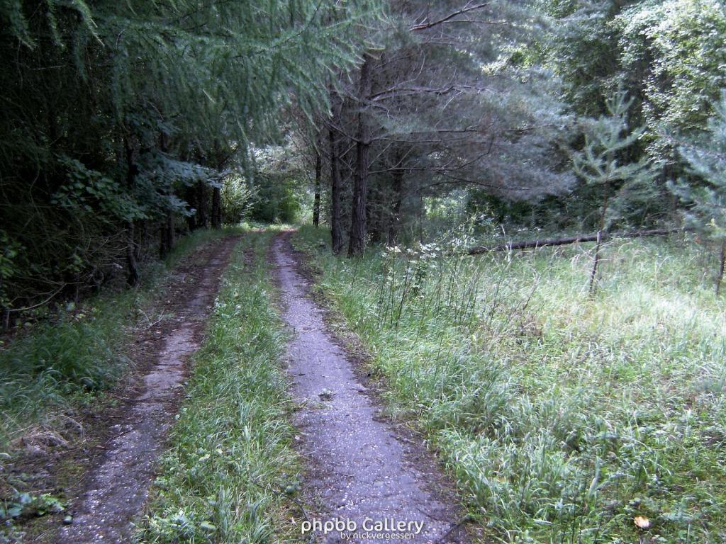 Wendehausen Treffurt 31  29082010